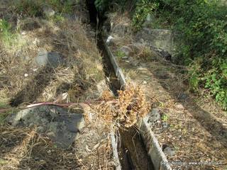 lto del Pecoraio30-05-2014 18-06-41